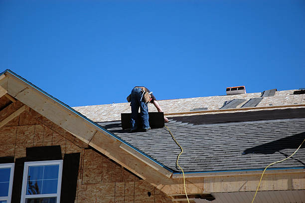 Best Roof Gutter Cleaning  in Schulenburg, TX