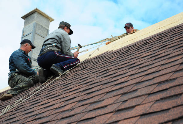 Best Roof Gutter Cleaning  in Schulenburg, TX