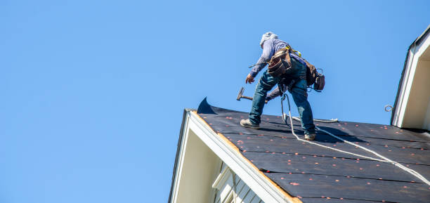 Roof Gutter Cleaning in Schulenburg, TX